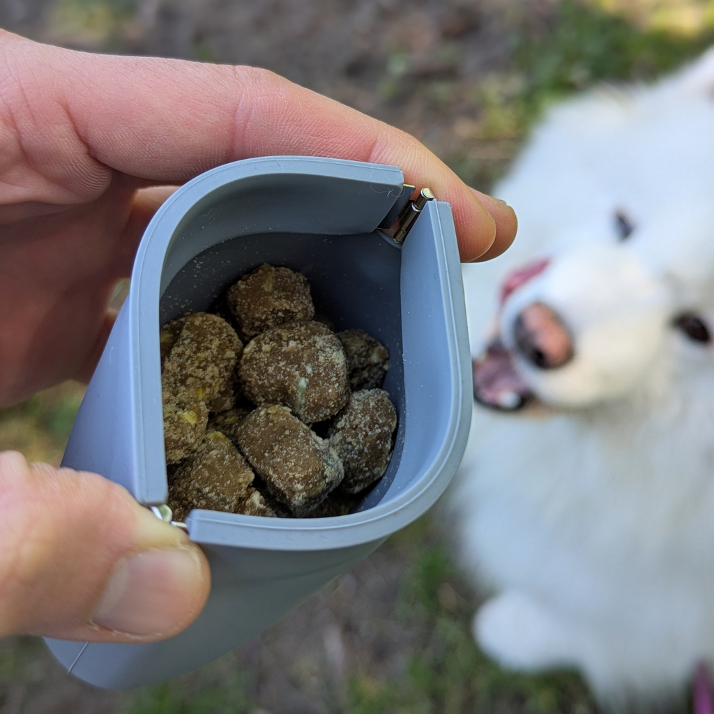 One-Hand Dog Treat Training Pouch