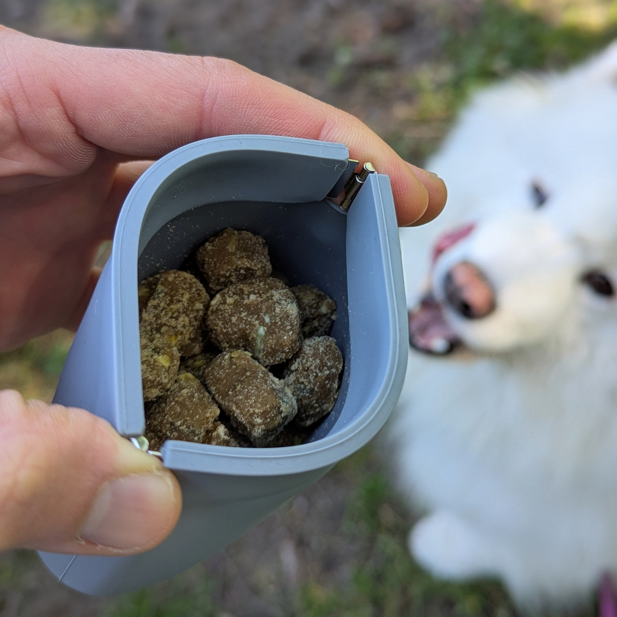 One-Hand Dog Treat Training Pouch
